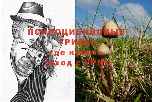 MDMA Premium VHQ Алзамай