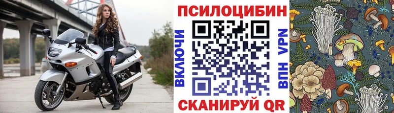 Псилоцибиновые грибы Cubensis Волжский