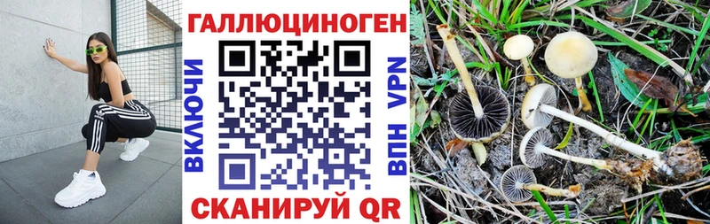 Галлюциногенные грибы GOLDEN TEACHER  Волжский 